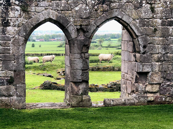 Archways & sheep, Haughmond Abbey - Photo by Moira Ravenscroft, Wyndlestraw Designs