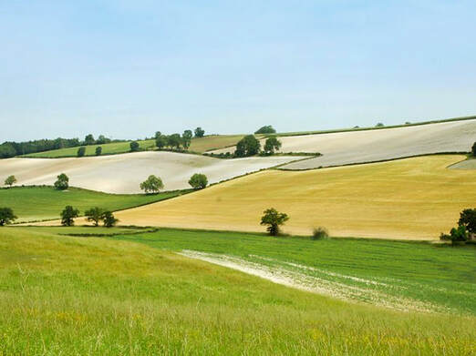 The Chilterns, photo for Chalfont St Giles blogpost by Moira Ravenscroft, Wyndlestraw Designs