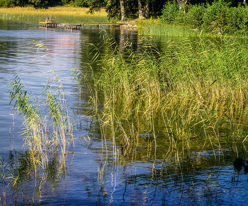 Lake Mälaren at Grönsöö, Photo by Tim Ravenscroft, Wyndlestraw Designs
