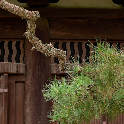 Daitoku-ji , Photo by Tim Ravenscroft, Wyndlestraw Designs 