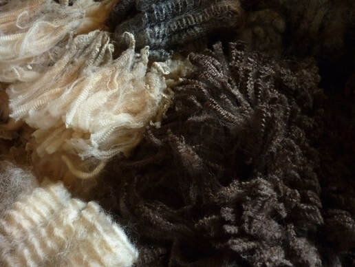 Wool Crimp from The Spinning Shepherd, in blogpost by Moira Ravenscroft, Wyndlestraw Designs